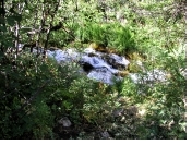 A bit of Cascade Springs off the Alpine Loop